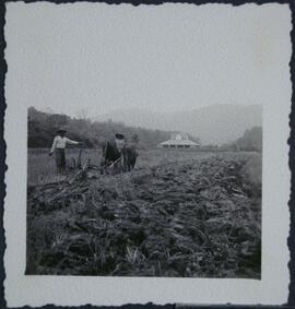 Índios arando a terra