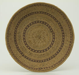 Apá