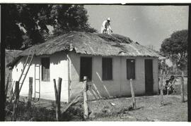 Cobrindo a casa com palha