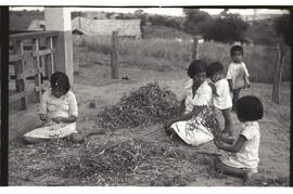 Índios Kaingang batendo feijão