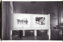 Painéis com ampliações fotográficas